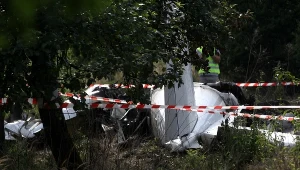 Wrak maszyny na miejscu katastrofy samolotu ze skoczkami spadochronowymi w pobliżu Topolowa