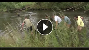 W rzece Mała Panew w Staniszczach Małych (woj.opolskie) znaleziono łódkę, która powstać mogła nawet w średniowieczu