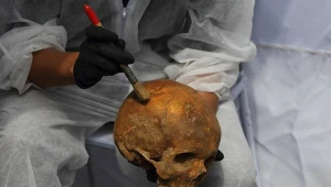 Poszukiwania ofiar zbrodni komunizmu na cmentarzu przy ulicy Walbrzyskiej w Warszawie