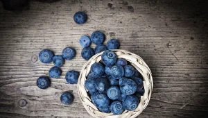 Borówki/ zdjęcie ilustracyjne