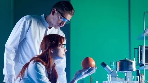 Naukowcy dążą do tego, aby narządy do przeszczepów pochodziły z hodowli, a nie od dawców