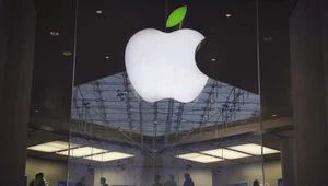 Wygląd salonów Apple chroniony patentem