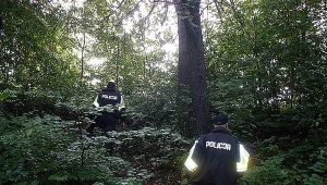 Poszukiwania chłopca