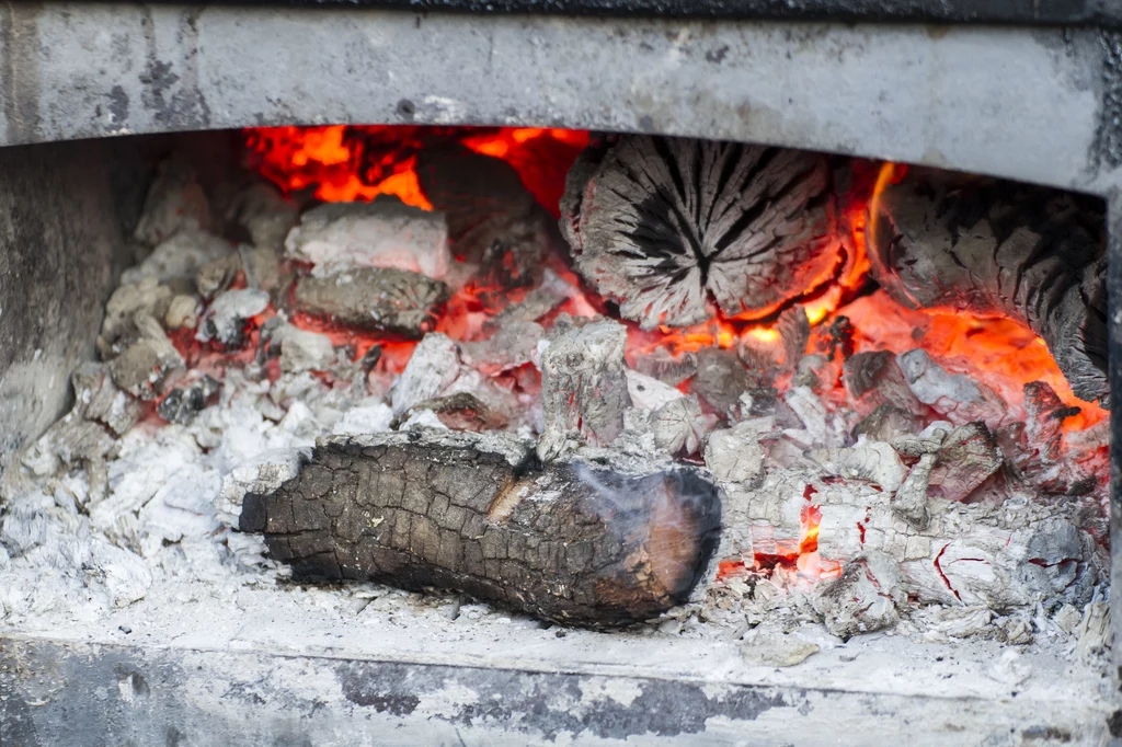 Braai przygotowuje się na drewnie opałowym