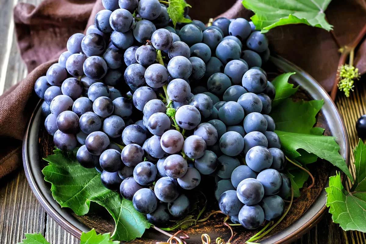 Ciemne winogrona są aromatyczne i słodkie. Stworzą pyszny i gęsty dżem