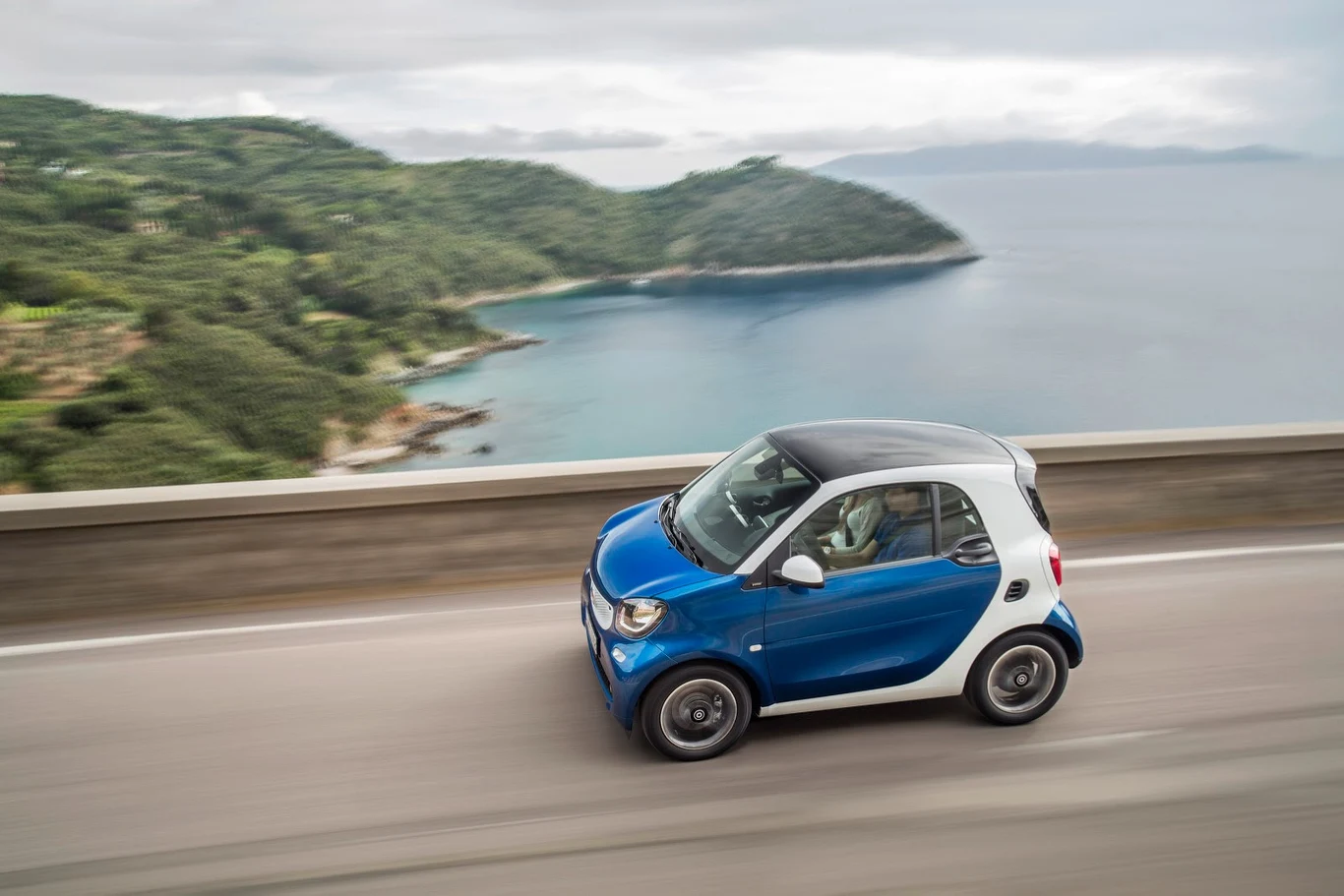 smart fortwo i forfour (2015)