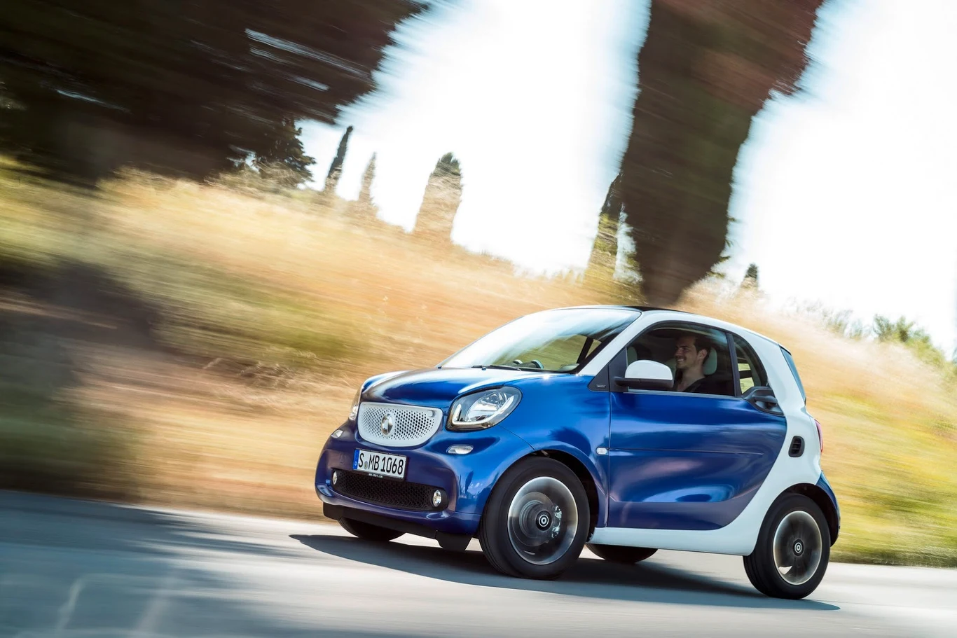 smart fortwo i forfour (2015)