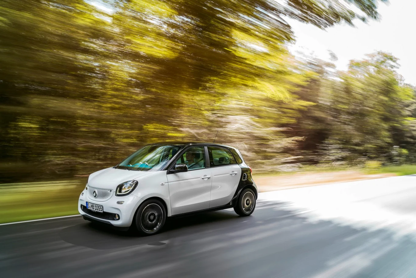 smart fortwo i forfour (2015)