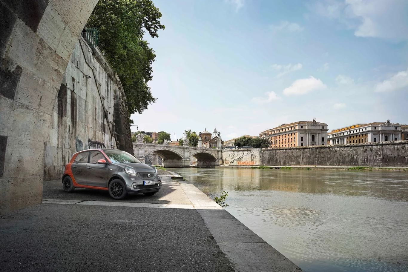 smart fortwo i forfour (2015)