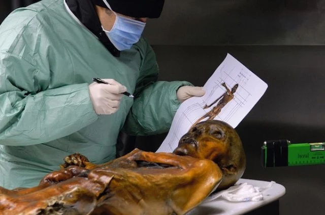 Ötzi - człowiek z lodu, którego ciało odkryto po ponad pięciu tysiącach lat
 /Fot. South Tyrol Museum of Archeology