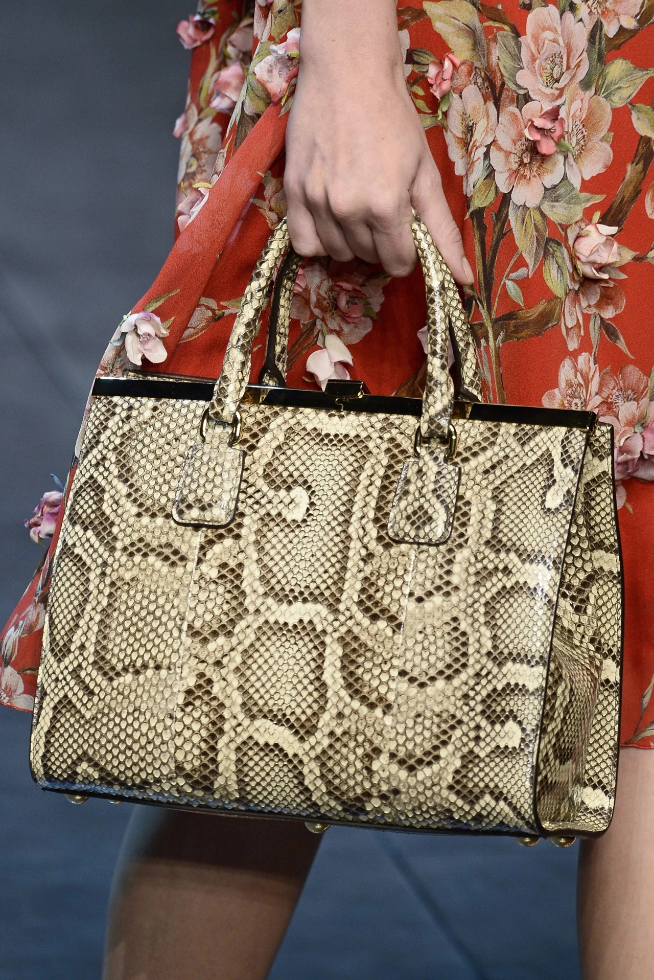 Zwierzęce motywy - Dolce&Gabbana Zwierzęce motywy - Dolce&Gabbana