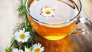 Rumianek, jedna z najbardziej znanych roślin leczniczych