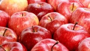 Światowy Dzień Jabłka wypada 28 września