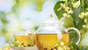 Lipa pomoże przy infekcjach i uspokoi