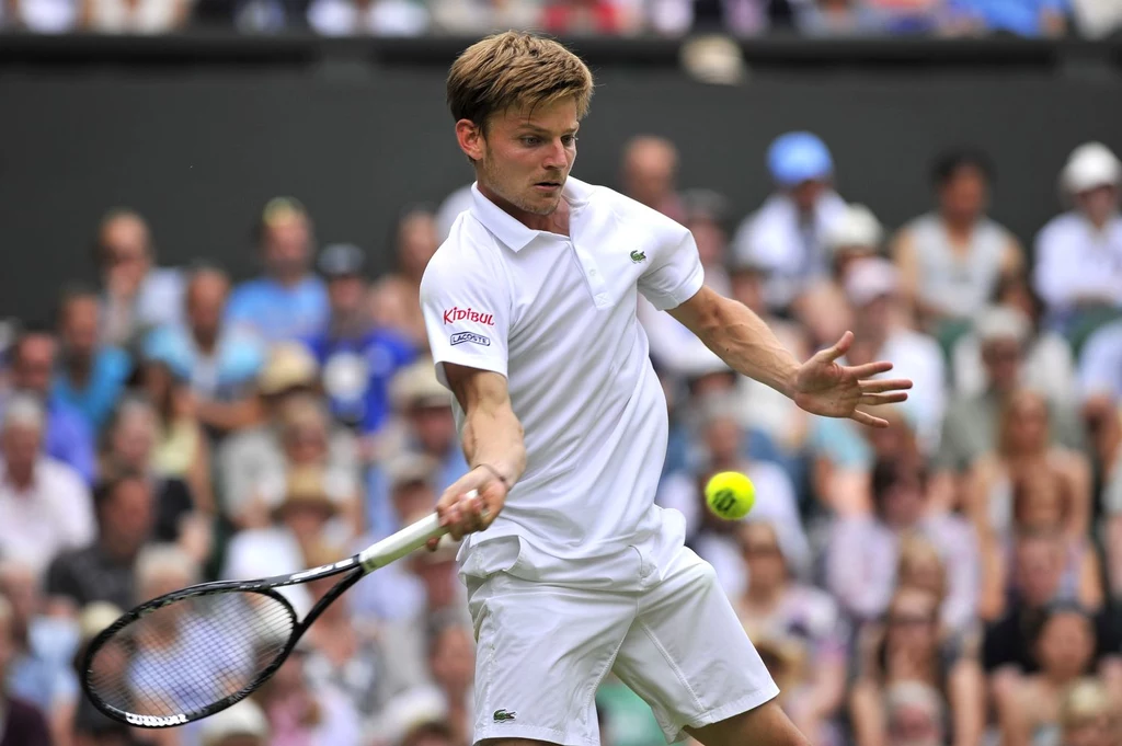 David Goffin David Goffin