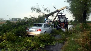 Konar spadł na samochód. Zginęło niemowlę