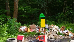 Lasy pełne śmieci: To groźne dla nas wszystkich