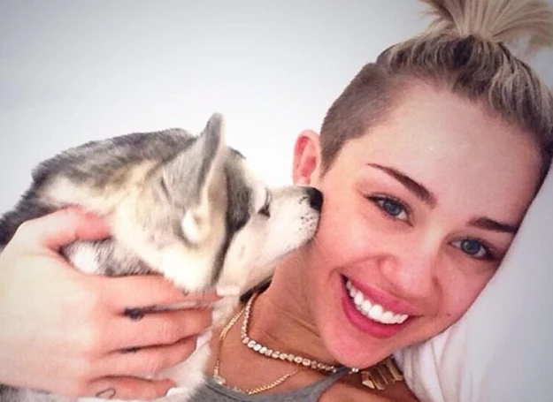Miley Cyrus ze swoim psem Floydem