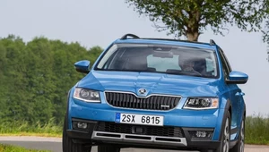 Czy Skoda Octavia to auto "terenowe"? Scout tak