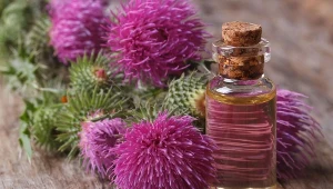 Łopian zadba o dobrą kondycję skóry