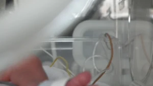 Dyspozytor pomógł uratować dziecko