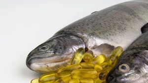 Ruszyła pierwsza taka plantacja roślin GMO z kwasami omega-3