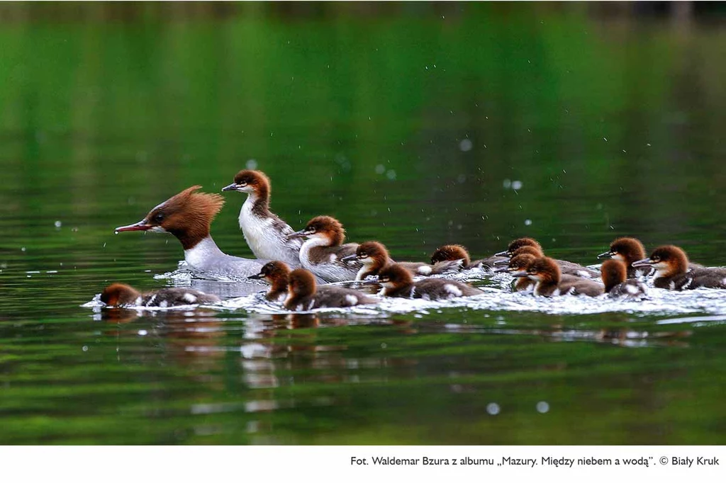 „Mazury. Między niebem a wodą”,  fotografie Waldemar Bzura