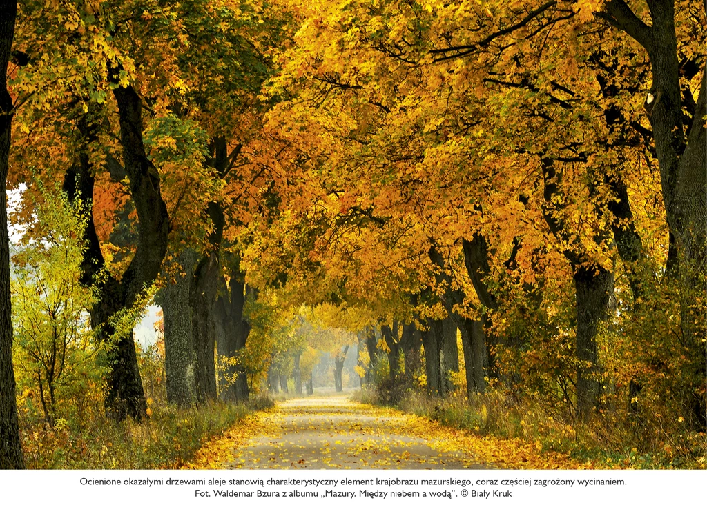 „Mazury. Między niebem a wodą”,  fotografie Waldemar Bzura