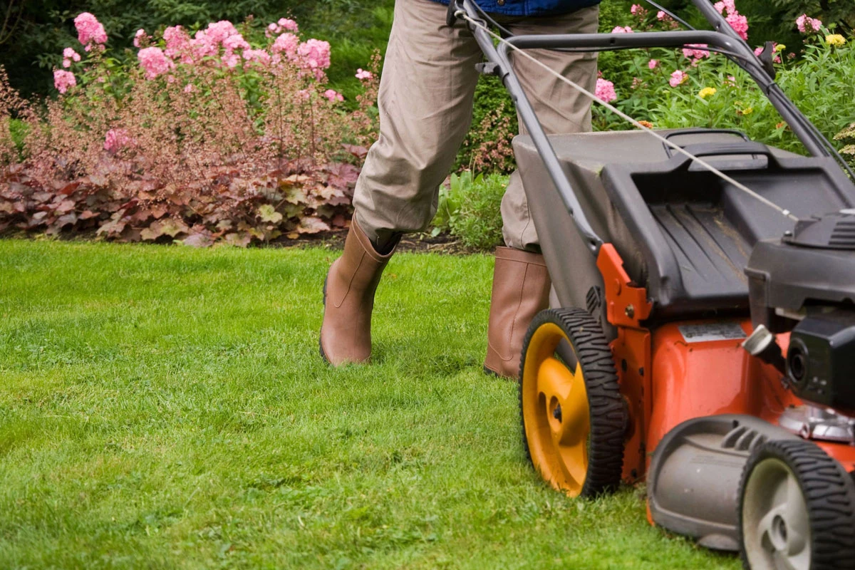 Jakie prace w ogrodzie we wrześniu? O tych nie możesz zapomnieć