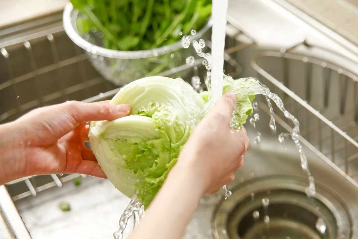 Zimna kąpiel przywróci sałacie kruchość