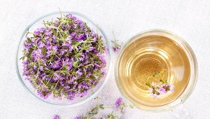 Napar z macierzanki łagodzi problemy z trawieniem