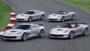 Corvette Stingray idzie jak woda...