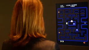 Wystawa z 2013 roku w Museum of Modern Art (MoMA) w Nowym Jorku