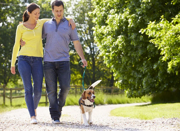 Polacy znaleźli się na 2 miejscu narodowości robiących najwięcej kroków dziennie