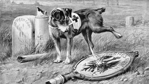 Pocztówka-karykatura polityczna "Niemcy poniżej wszystkich?" 