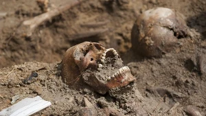 Przy białostockim areszcie śledczym znaleziono szczątki ponad 60 osób