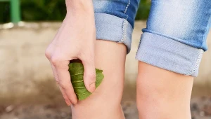 Artroskopia to nowoczesna metoda dignostyki i leczenia stawów