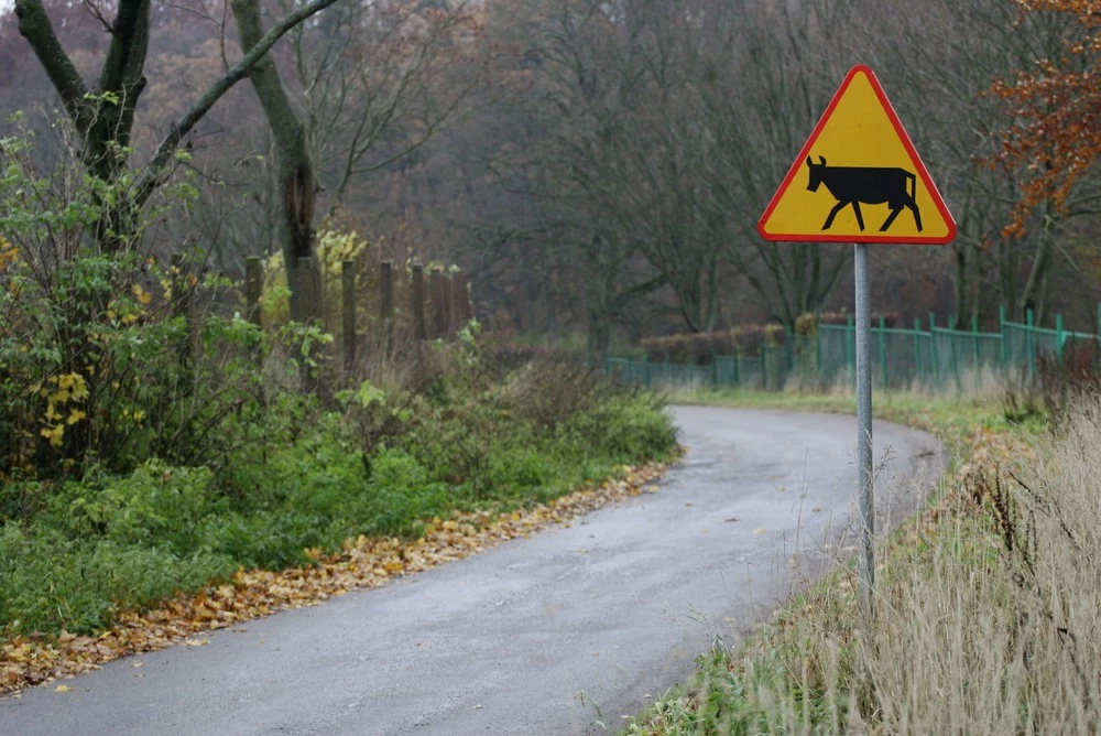 Lokalne drogi również są mocno obciążone ruchem