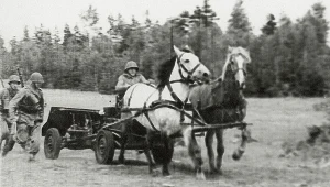 Bitwa nad Bzurą. Wielkopolska Brygada Kawalerii, polskie działo przeciwpancerne w czasie zmiany stanowiska