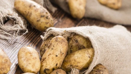 Gdzie najlepiej przechowywać ziemniaki?