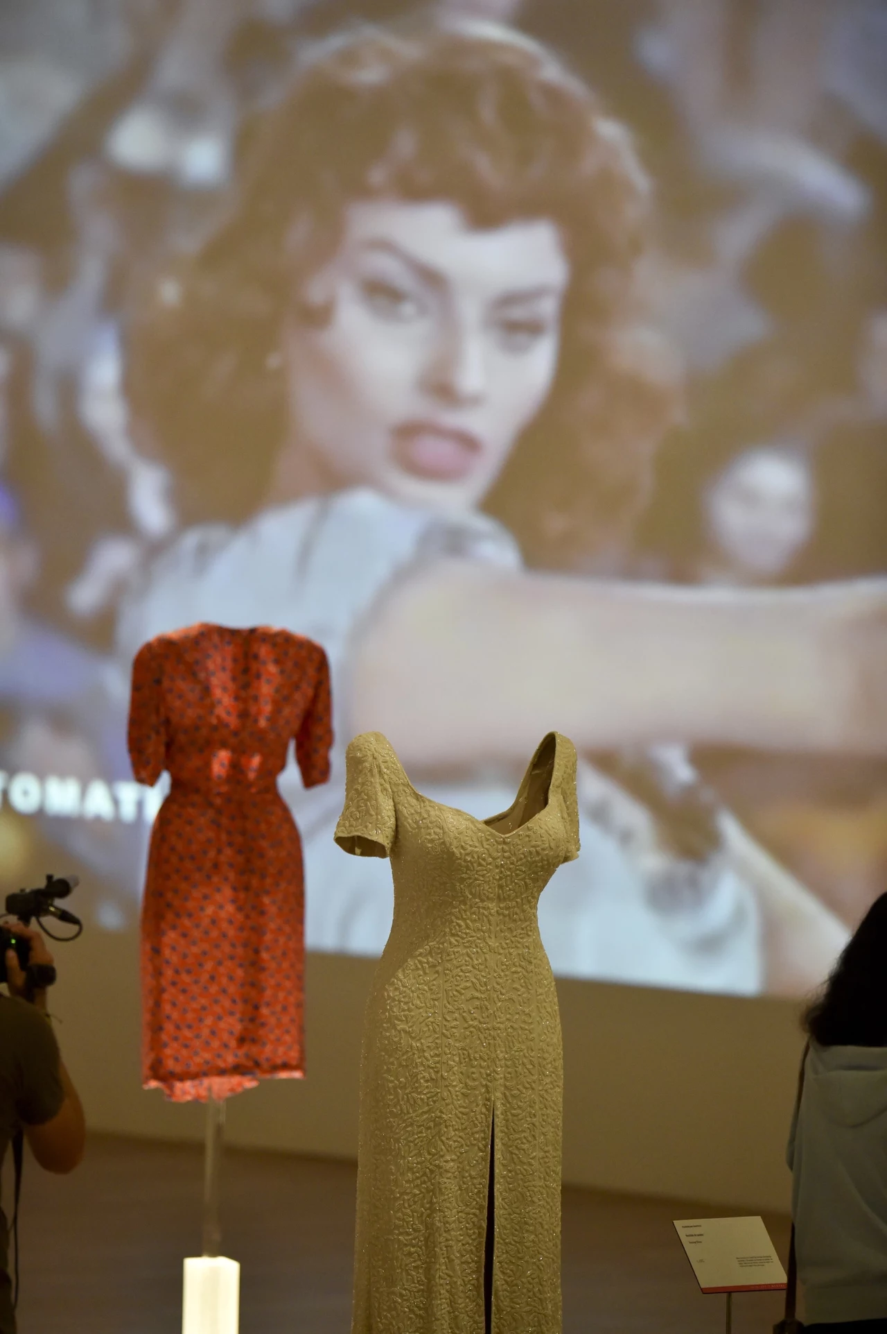 Urodziny Sophii Loren. Wystawa w Meksyku Urodziny Sophii Loren. Wystawa w Meksyku