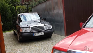 Mercedes W124 dorobił się już statusu klasyka