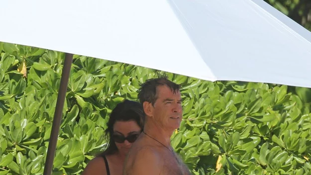 Pierce Brosnan