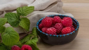 Przed sezonem jesienno-zimowym można pokusić się o malinową dietę oczyszczającą