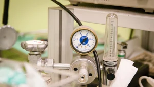 Zdjęcie ilustracyjne