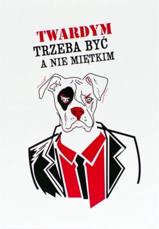 Kolekcja "Kiler" Kolekcja "Kiler"