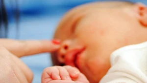 Zdjęcie ilustracyjne