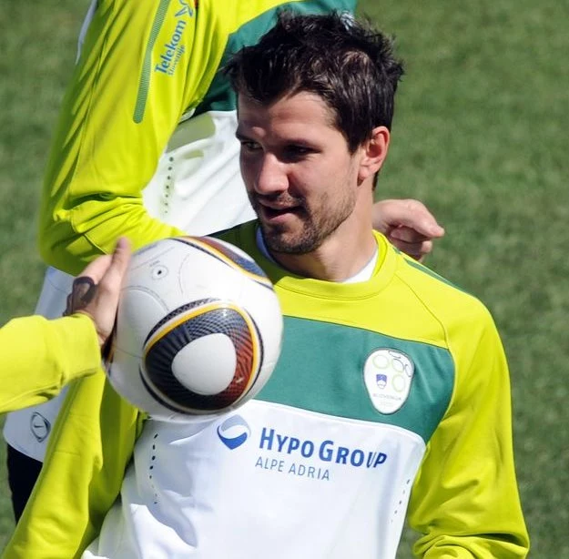 Dalibor Stevanović 