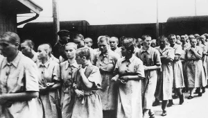 "Do zup dodawano jakieś proszki firmy Bayer, które powodowały zanik menstruacji u kobiet"...