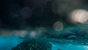 Zdjęcie ilustracyjne